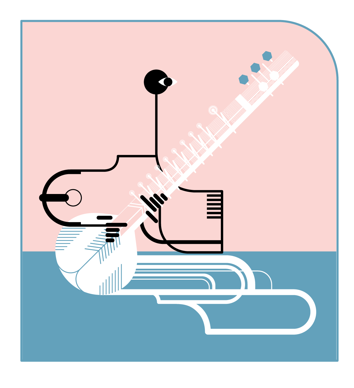 THE RAAG SERIES- SITAR